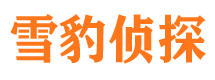 陇县侦探公司